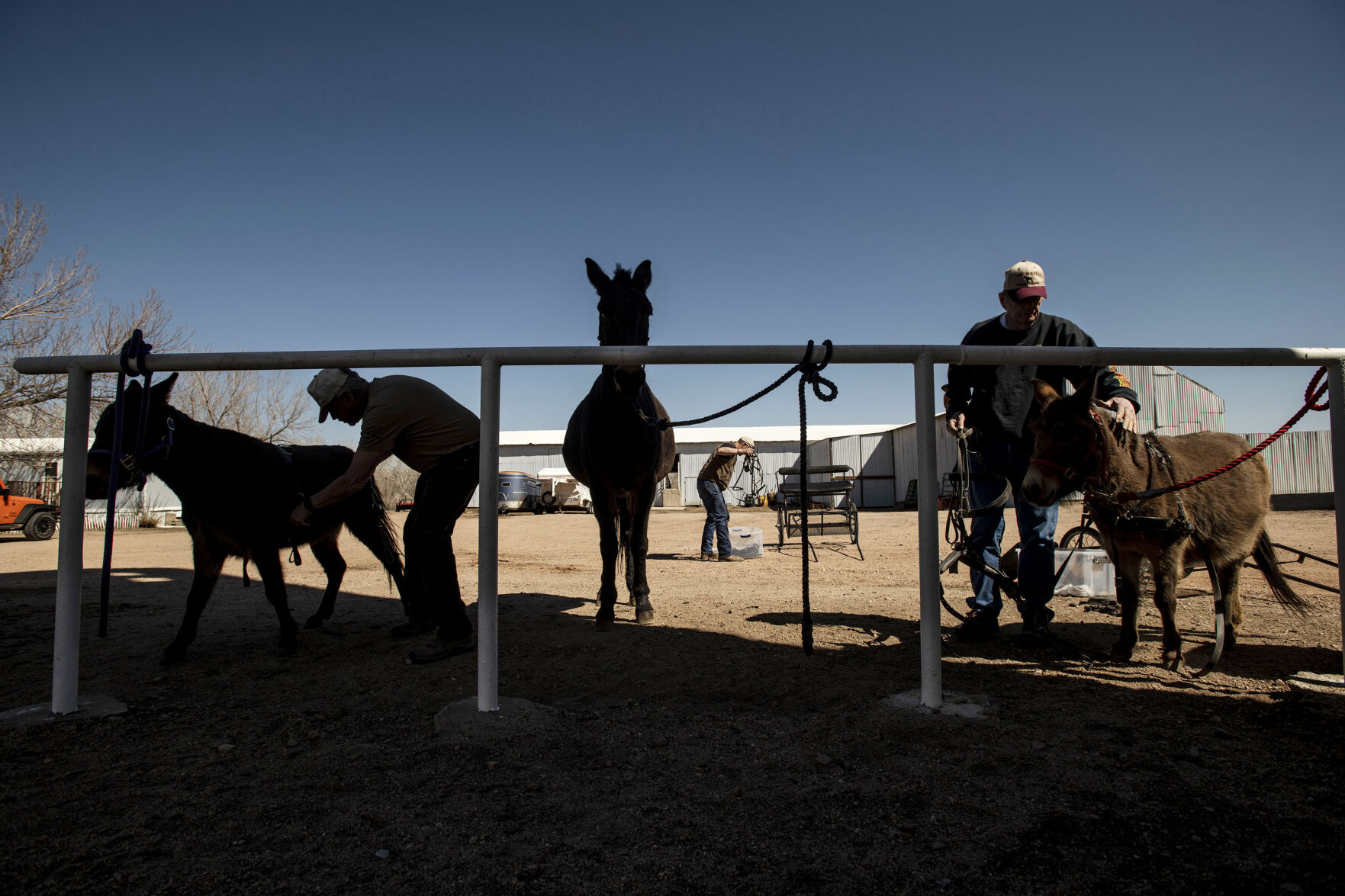042521-life-mules 05